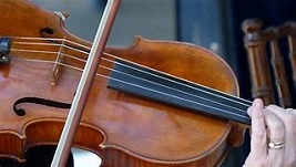 Violin